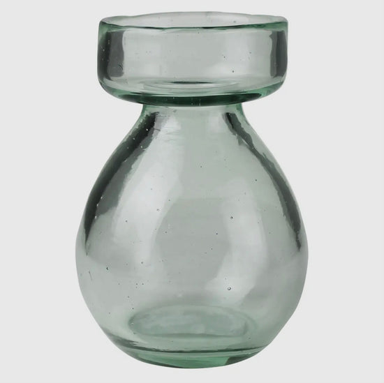 Bulb vase with paperwhite bulb