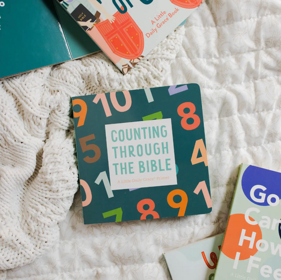 Counting Through the Bible board book