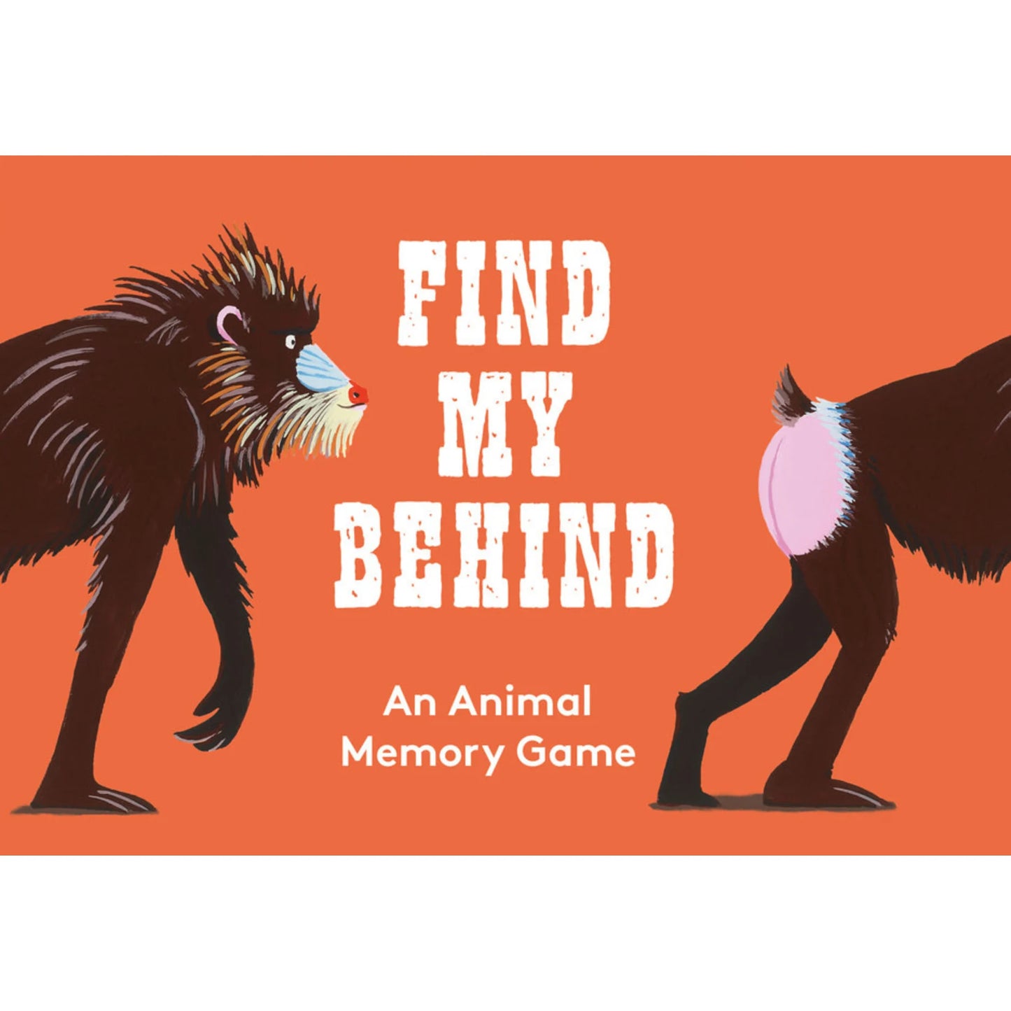 Find My Behind Memory Game